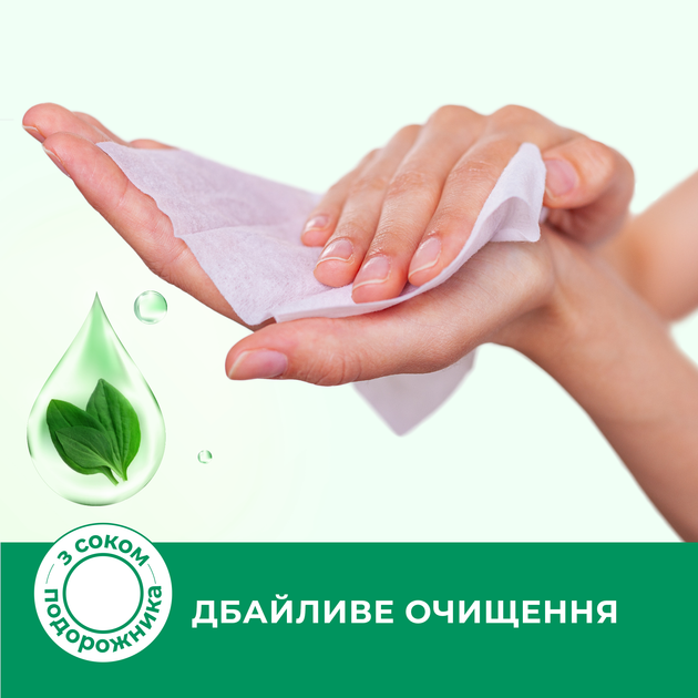 Салфетка влажная SMILE Antibacterial с подорожником, 100 шт., с клапаном new desing, 42112825 3