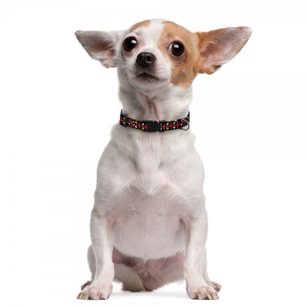 Ошейник для собак TM Barksi Urban Патриотический (обв.шеи 25-33см,шир.1,6см),вышиванка черная 1