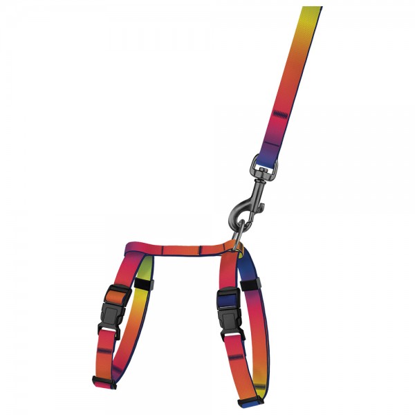 Шлея с поводком для кошек и мелких собак TM Barksi Urban ART, размер XS, градиент 1