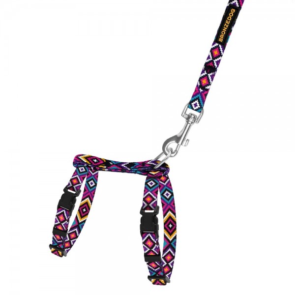 Шлея с поводком для кошек и мелких собак TM Barksi Urban, размер 2XS, гуцульская фиолетовая 1