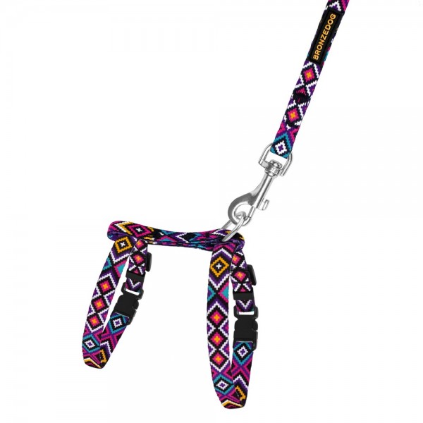 Шлея с поводком для кошек и мелких собак TM Barksi Urban, размер 2XS, гуцульская фиолетовая 2