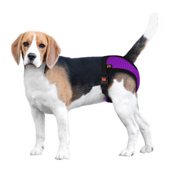 Трусы гигиенические для собак Barksi Mesh (обхв 27-36см, длина 13,5см) S, фиолетовые new 6