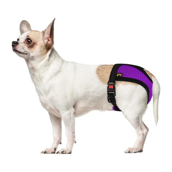 Трусы гигиенические для собак Barksi Mesh, (обхват 41-54см, длина 19,5см) L, фиолетовые new 8