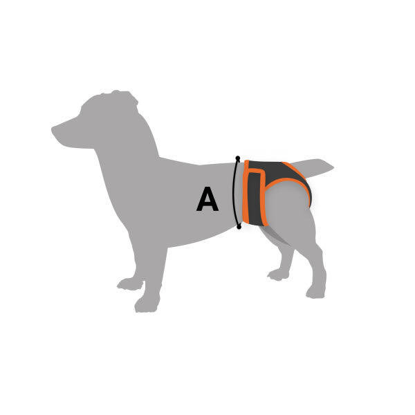 Трусы гигиенические для собак TM Barksi Mesh (обв.41-54см,дл.19,5см) L,ментоловые 3