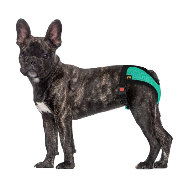 Трусы гигиенические для собак TM Barksi Mesh (обв.41-54см,дл.19,5см) L,ментоловые 7