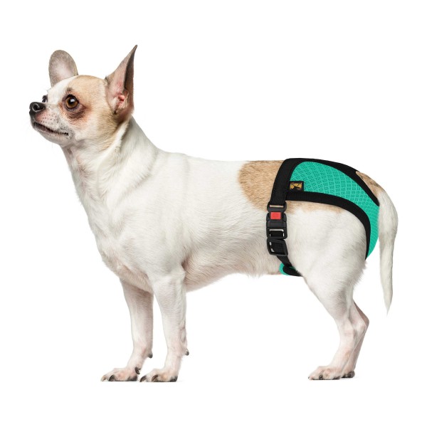 Трусы гигиенические для собак TM Barksi Mesh (обв.41-54см,дл.19,5см) L,ментоловые 8