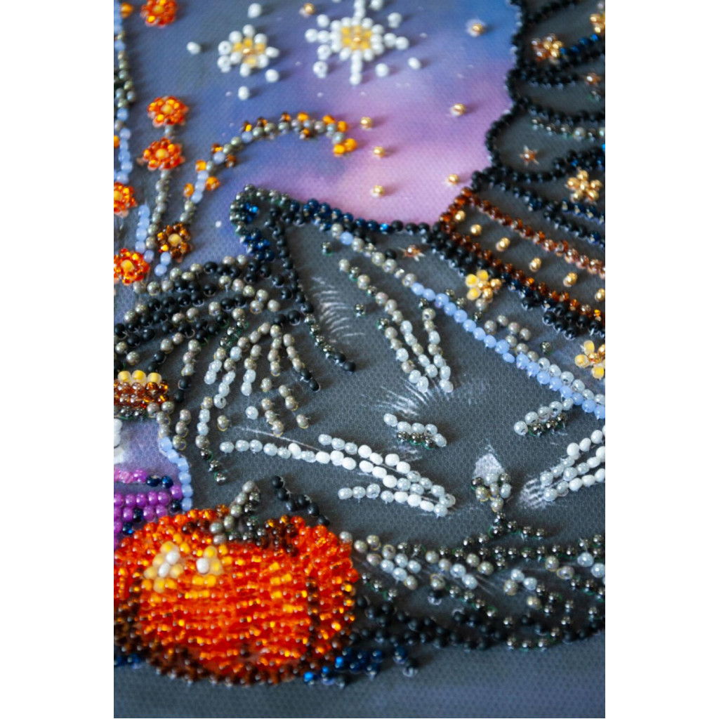 Набор-меди для вышивки бисером на натуральном художественном холсте "Сон колдуньи", AMB-123 1