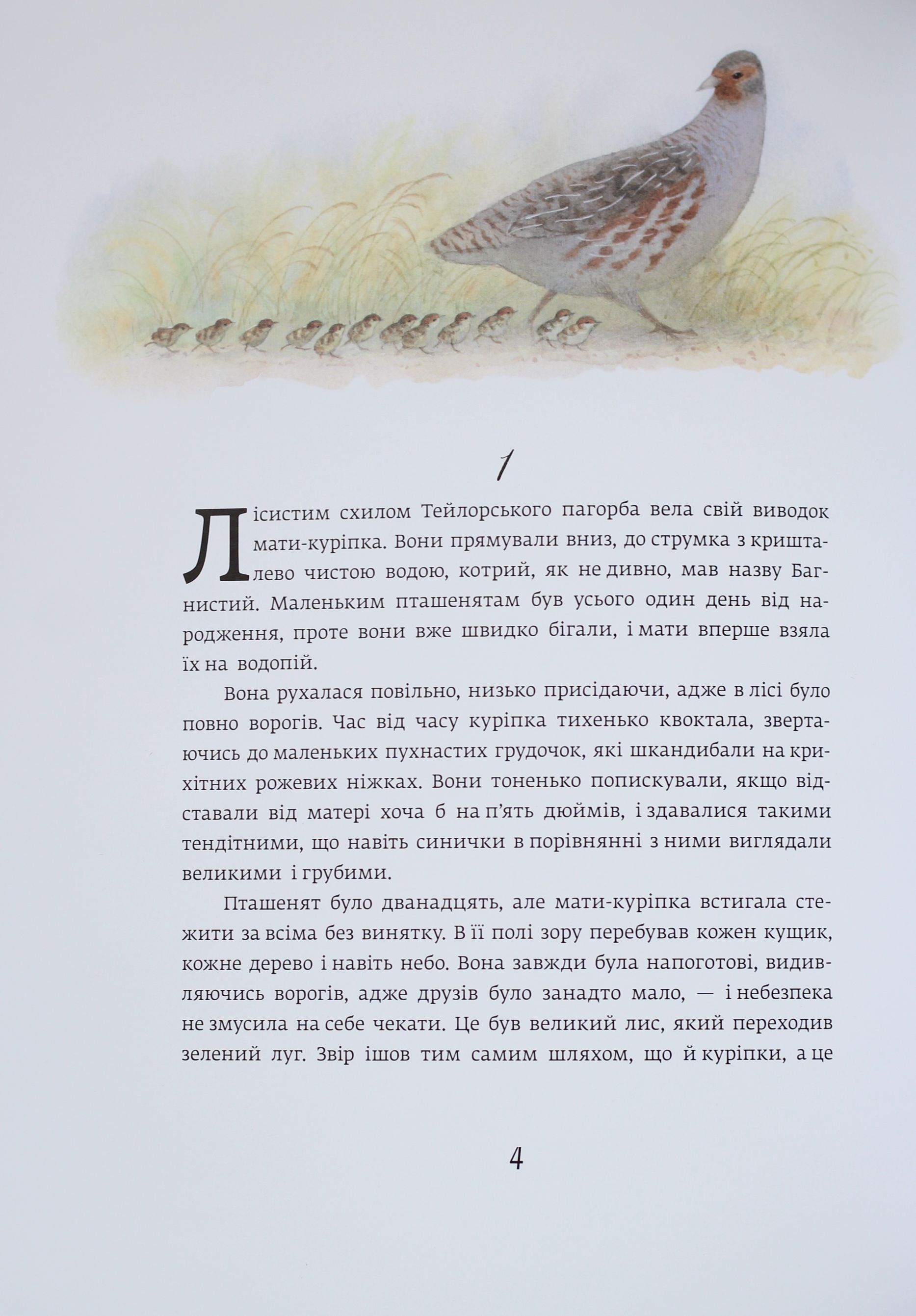 Книга "Сетон-Томпсон Е. Червона Шийка" (у) 1