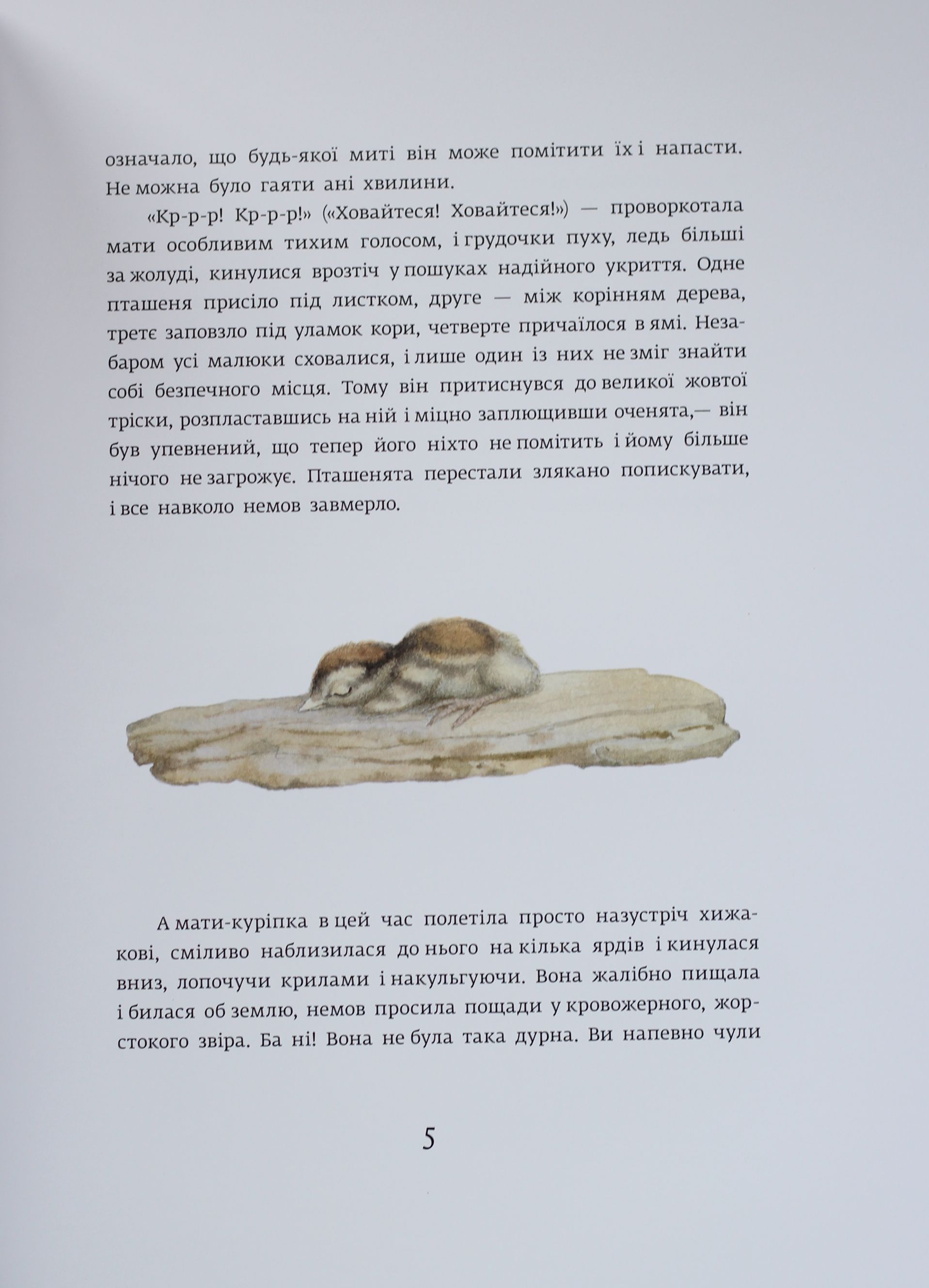 Книга "Сетон-Томпсон Е. Червона Шийка" (у) 2