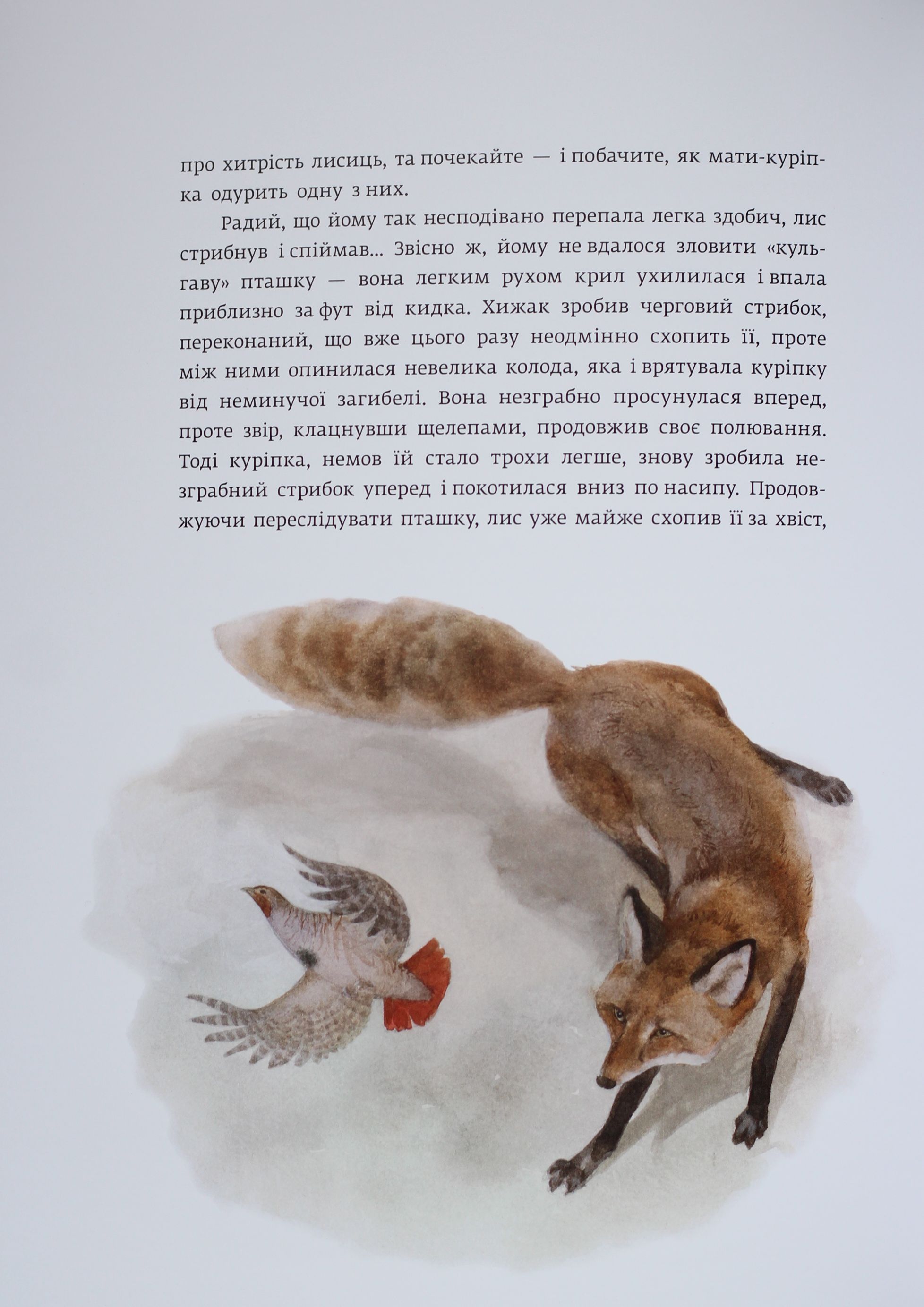 Книга "Сетон-Томпсон Е. Червона Шийка" (у) 3