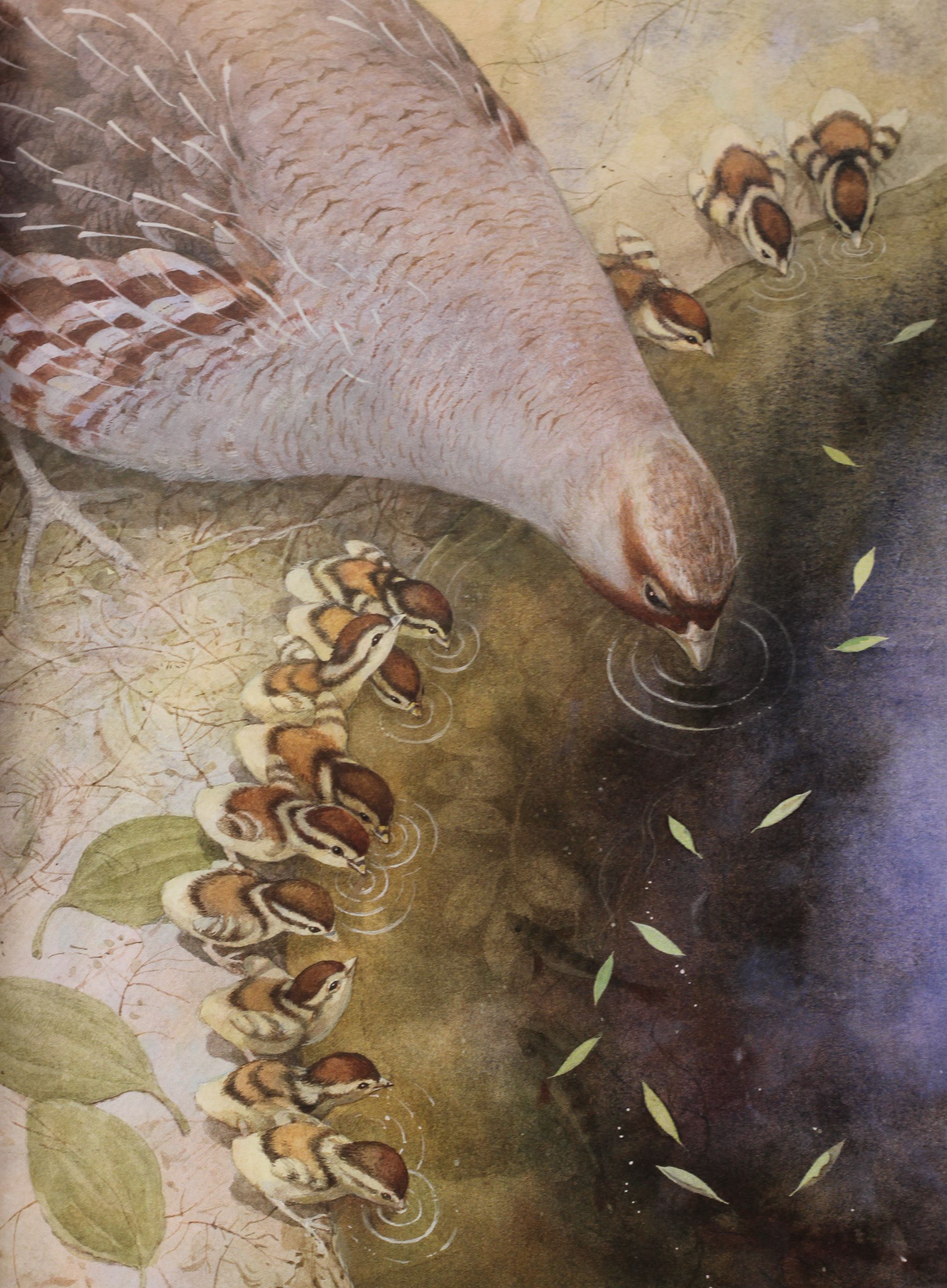 Книга "Сетон-Томпсон Е. Червона Шийка" (у) 6