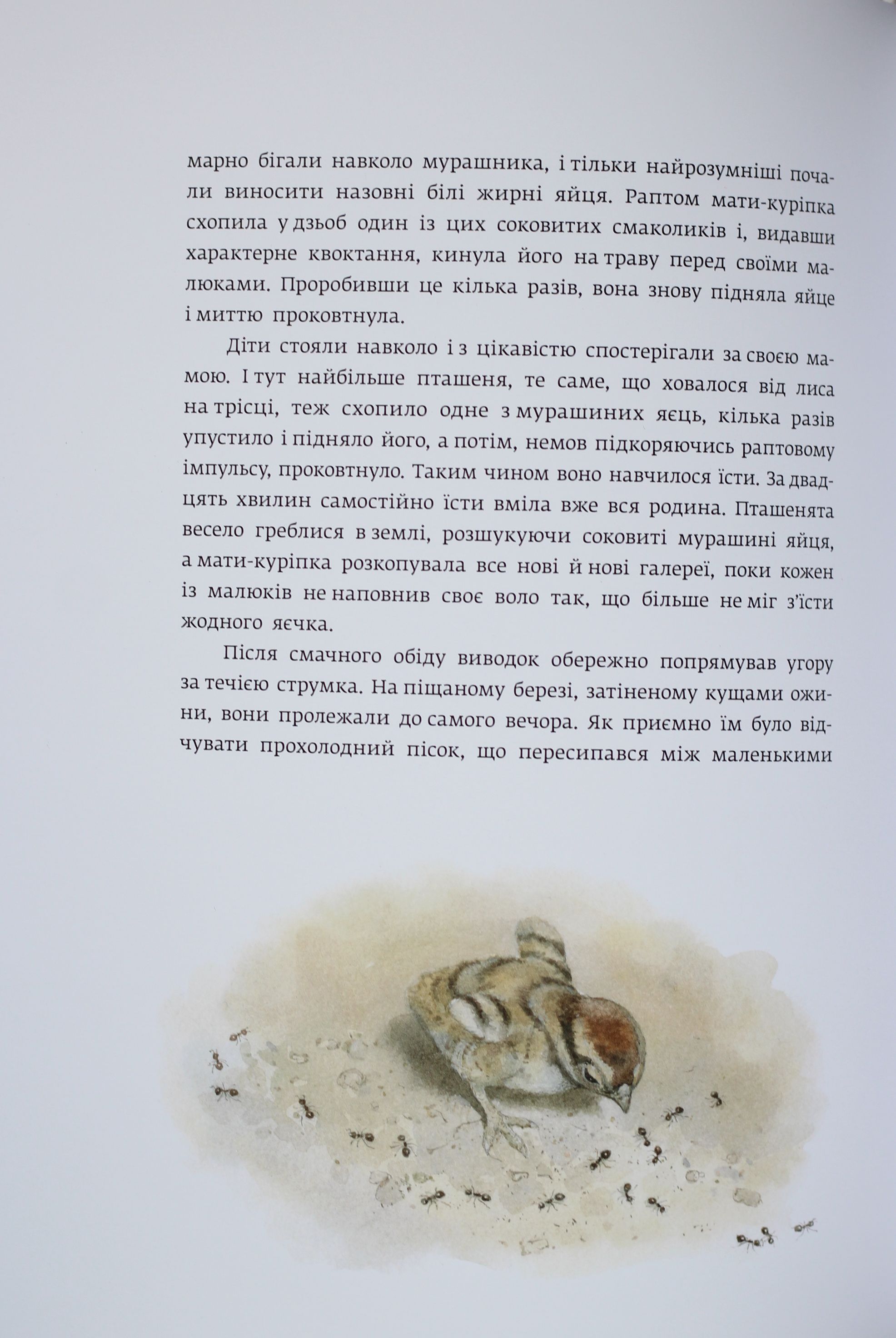 Книга "Сетон-Томпсон Е. Червона Шийка" (у) 7