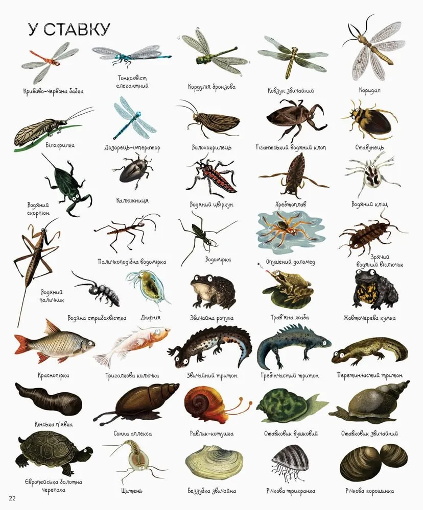 Книга "Грінвел Дж., Дайсон Н. 1000 назв тварин" (у) 3