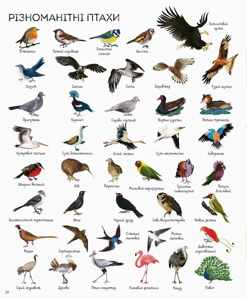 Книга "Грінвел Дж., Дайсон Н. 1000 назв тварин" (у) 4