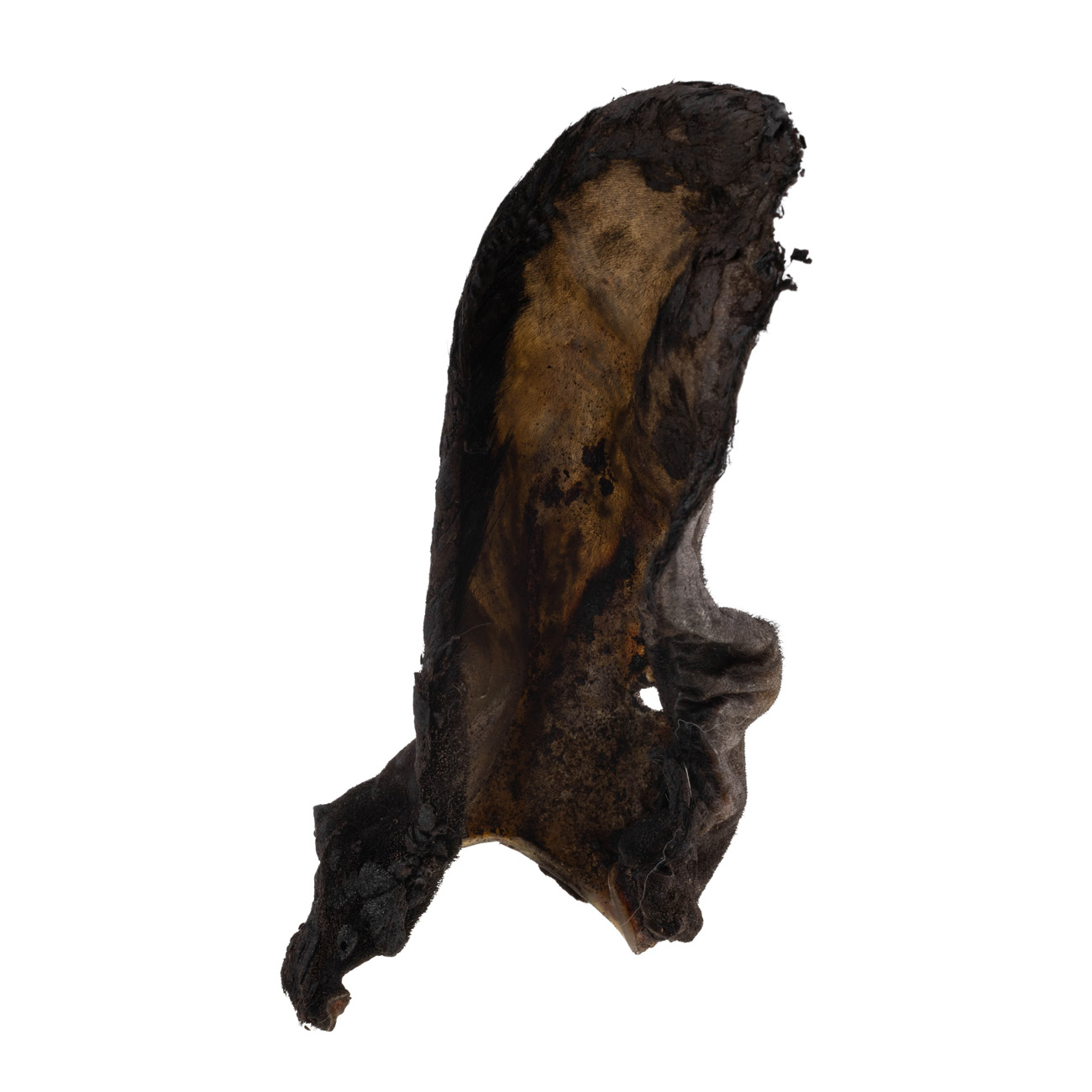 Лакомство для собак натуральные сушеные. Уши необработанные говяжьи, 150г 3