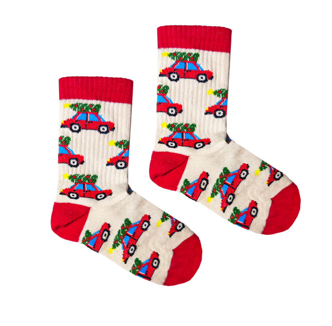 Детские носки "Машинки" 27-30, DKS009