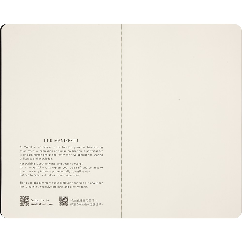 Набор записных книжек средний нелинированный (2 шт), Moleskine Cahier NASA, SKCAHLP7063S2 5