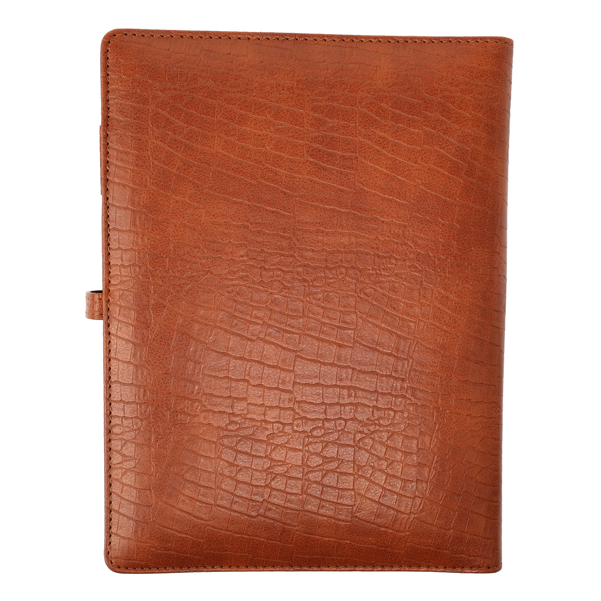 Дневник-смарт VoltTok Кобра коричневый, 100036a 4