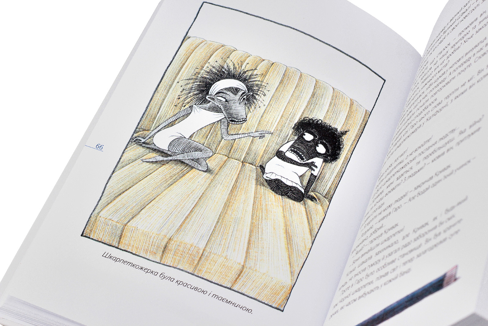 Outlet Книга "Шрут П. Носки всегда рядом" (у) (4611)/844443 5