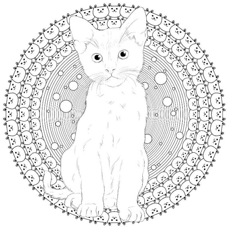 Outlet Книга для дозвілля. Арт-квадрат: Кошенята, (у) 1