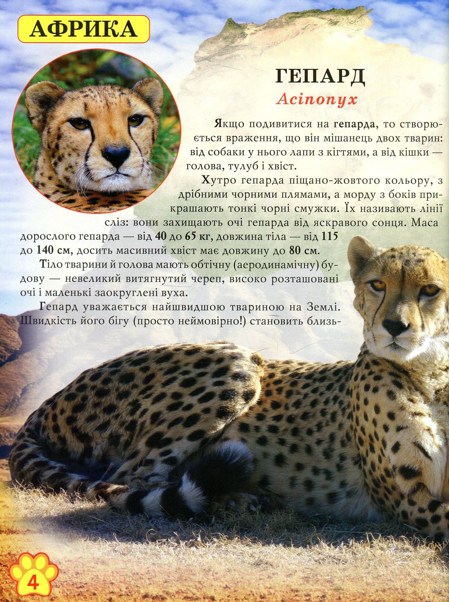 Книга "Світ навколо нас. Дикі тварини" (у) 3
