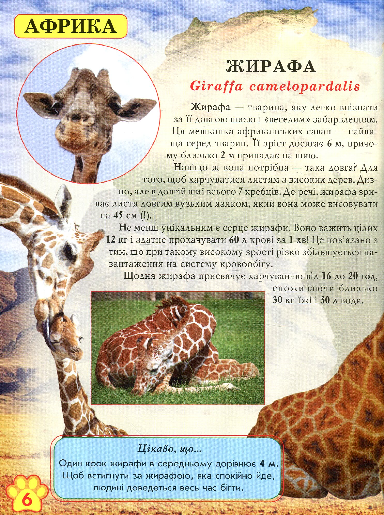 Книга "Світ навколо нас. Дикі тварини" (у) 4