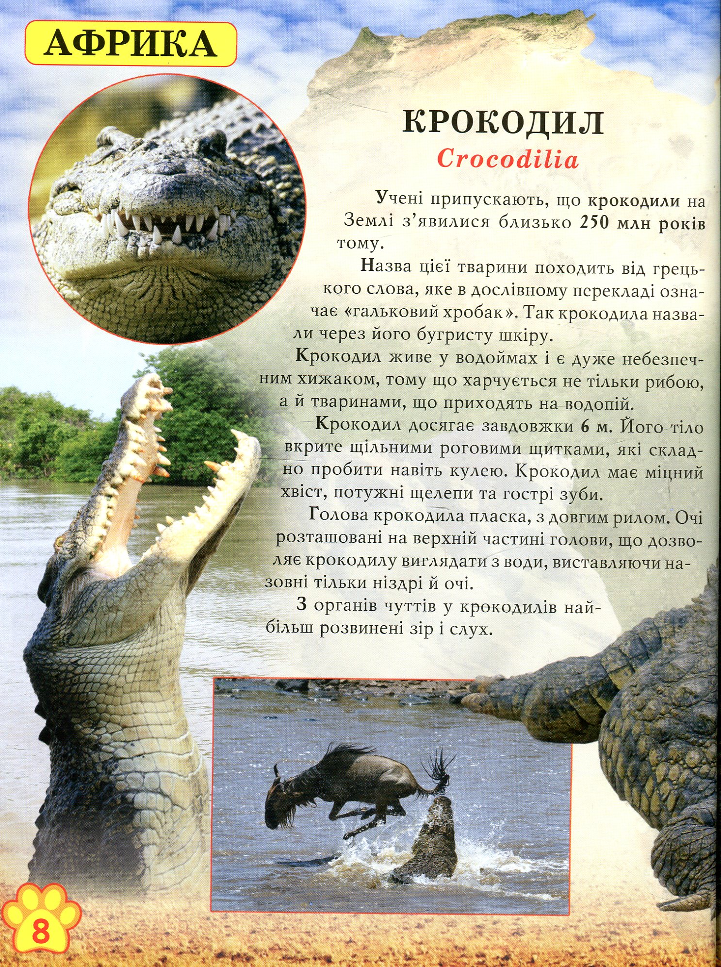 Книга "Світ навколо нас. Дикі тварини" (у) 5