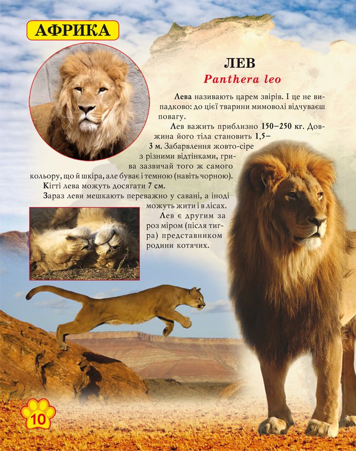 Книга "Світ навколо нас. Дикі тварини" (у) 6