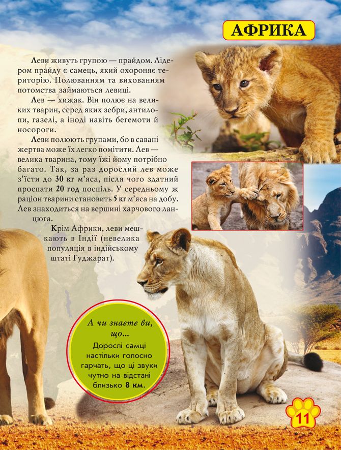 Книга "Світ навколо нас. Дикі тварини" (у) 7