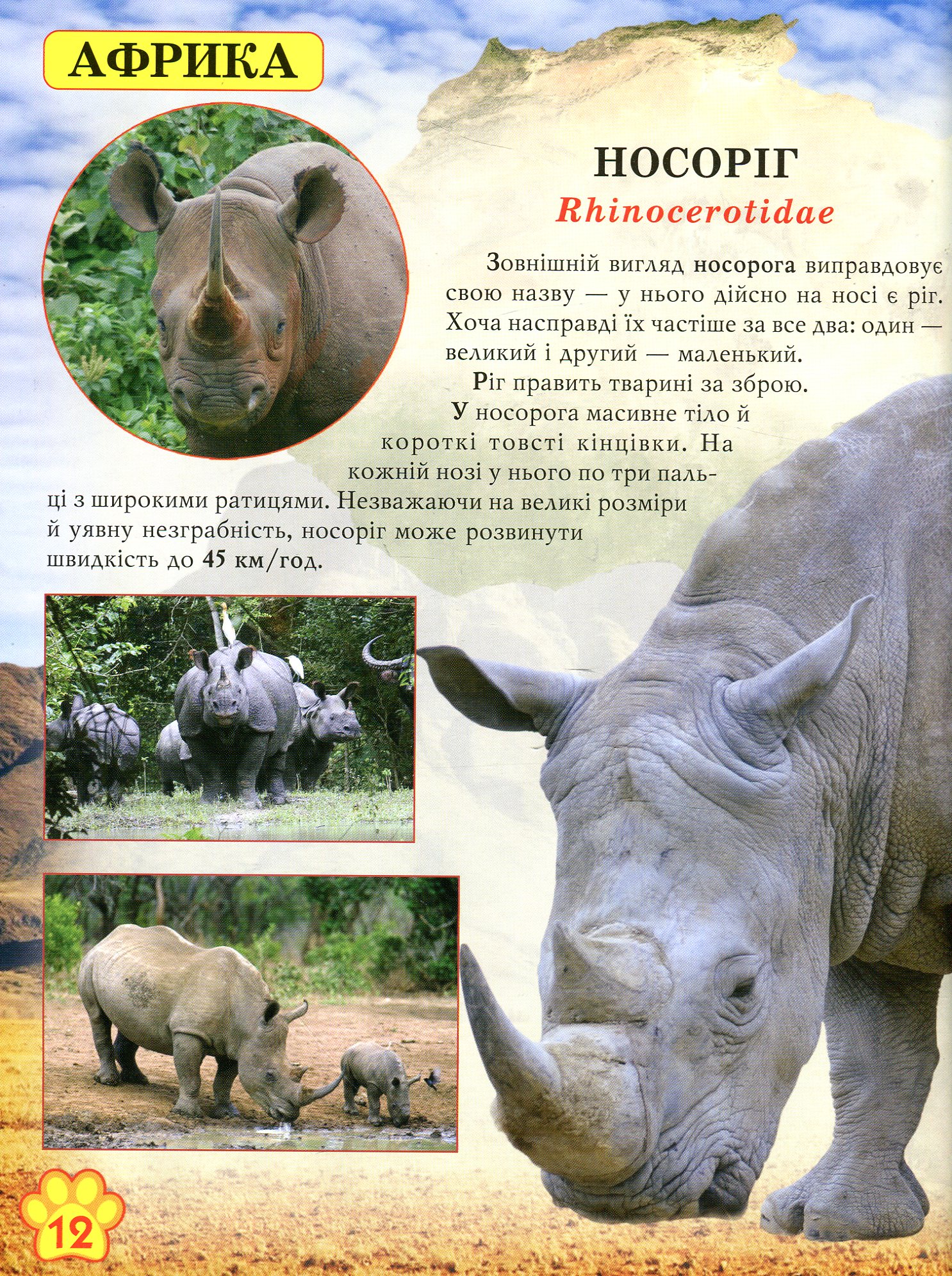 Книга "Світ навколо нас. Дикі тварини" (у) 8
