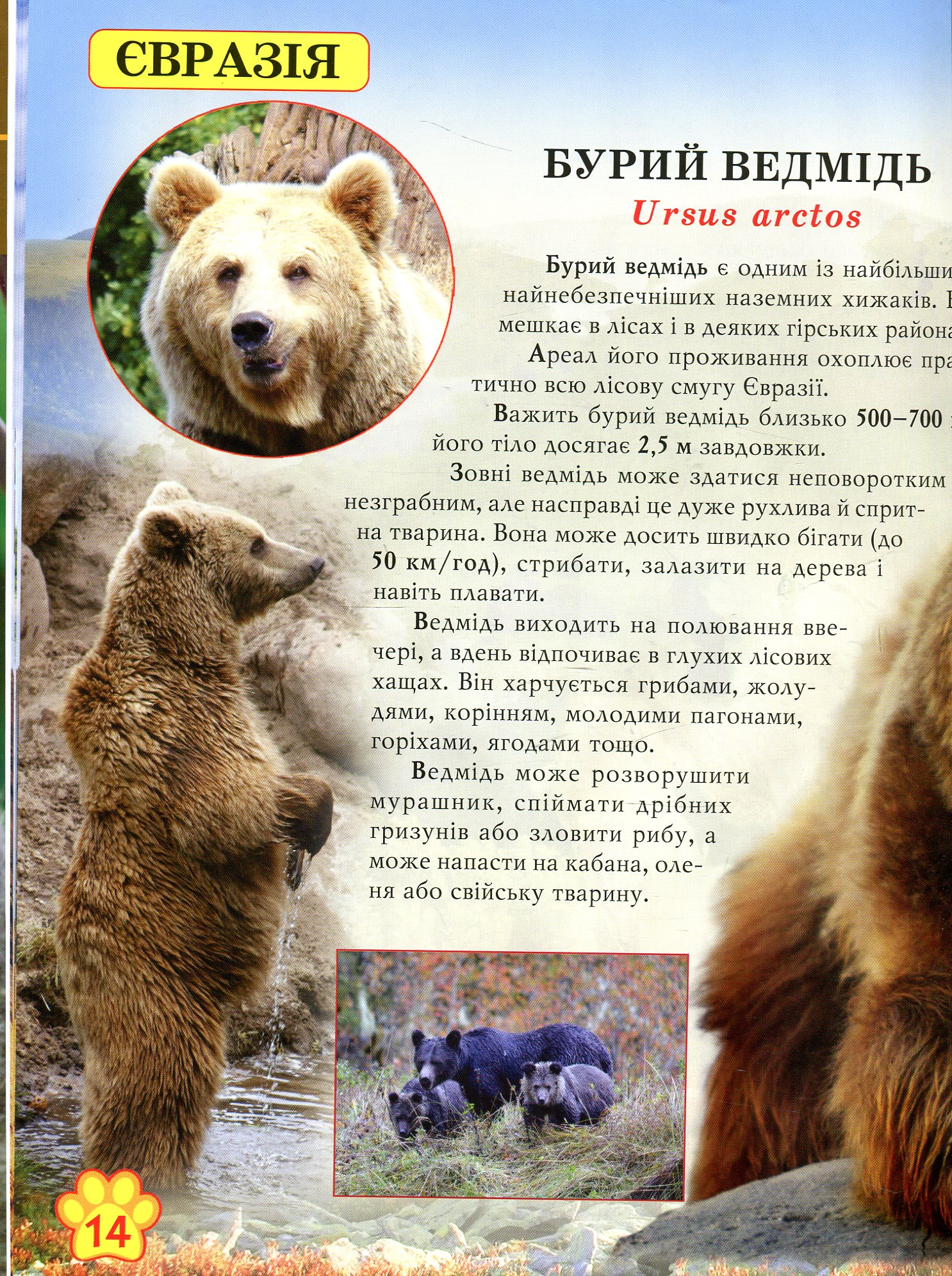 Книга "Світ навколо нас. Дикі тварини" (у) 9