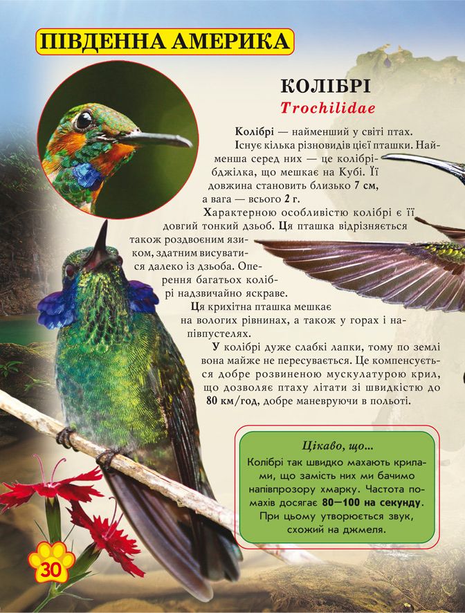 Книга "Світ навколо нас. Дикі тварини" (у) 10