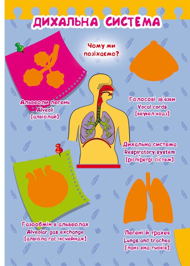 Outlet20 Книга "Большая книга. Развивающие наклейки. Умные задачи. Тело человека" (у) (0575)/1011421 1