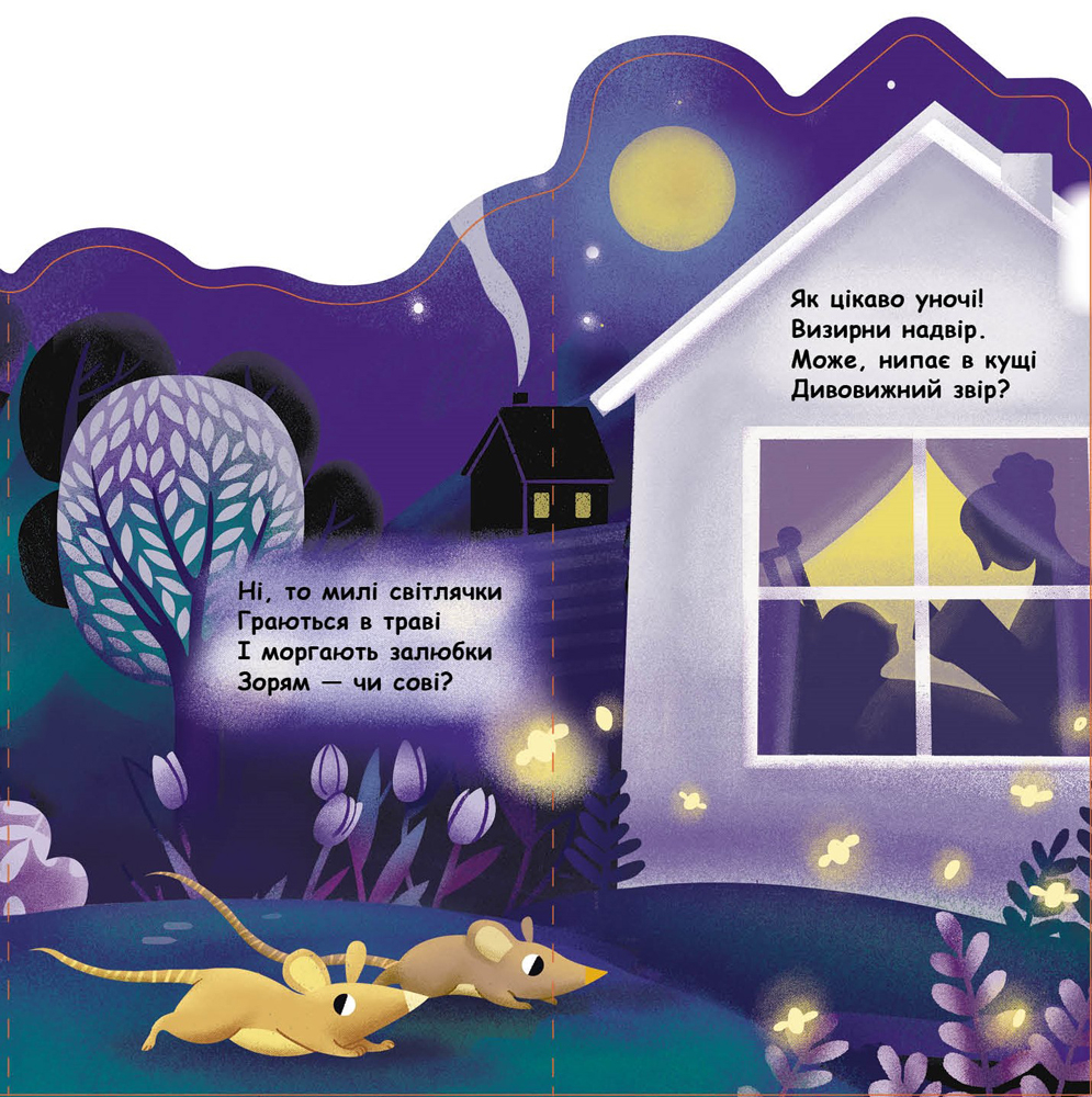 Outlet40 Книга "Що коїться навколо? Вночі. Андрусяк І." (у) (5688)/1014126 2