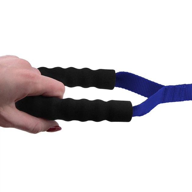 Поводок для собак TM Barksi Active с мягкой ручкой (длина - 15м, ширина - 2,5см), синий 1