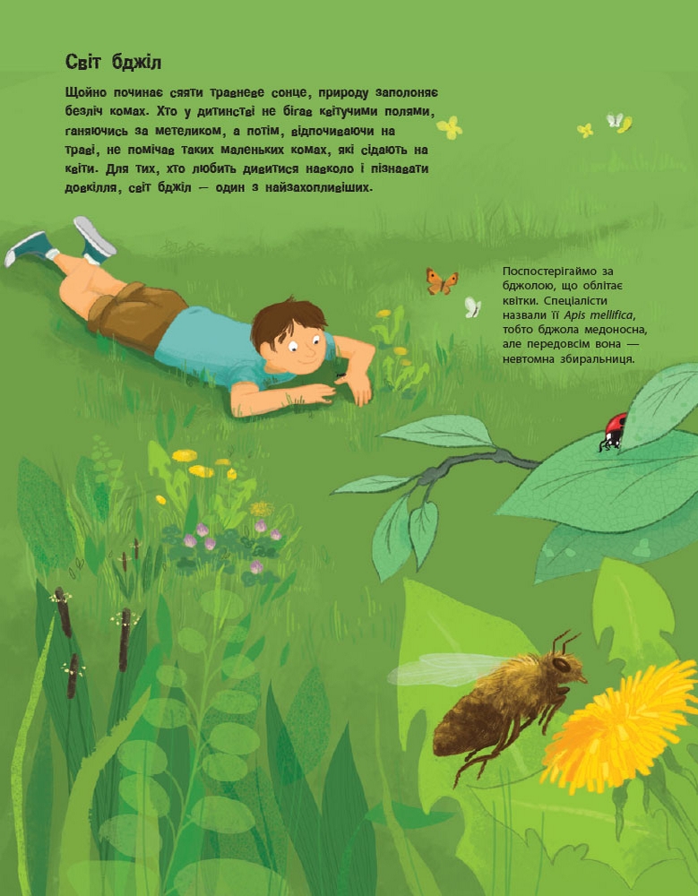 Outlet20 Книга "Несерийный. Гишар Ж., Ксенар К. Все о пчелах... и не только" (у) (9669)/1018787 5