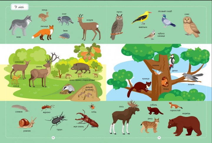 Outlet40 Книга "Несерийный. Каспарова Ю. Лучший словарь животных" (у) (5258)/1015852 2