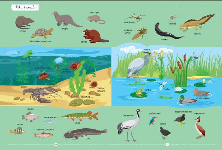 Outlet40 Книга "Несерийный. Каспарова Ю. Лучший словарь животных" (у) (5258)/1015852 3