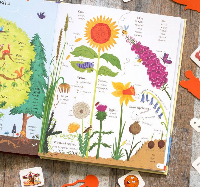 Книга "Сандерс Р. Великий ілюстрований словник" (у) 3