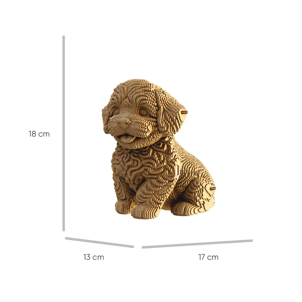 Картонный конструктор "Cartonic 3D Puzzle MALTIPOO", CARTMALTIPOO 2