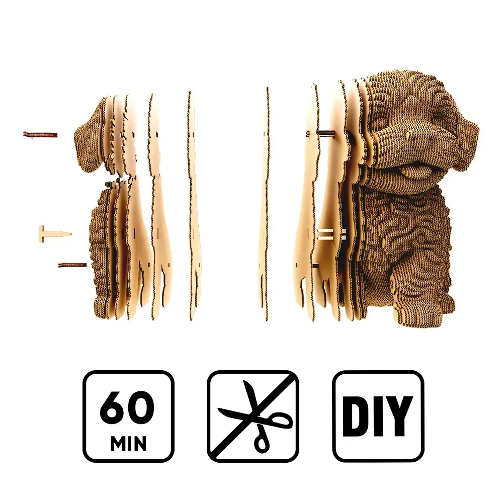 Картонный конструктор "Cartonic 3D Puzzle MALTIPOO", CARTMALTIPOO 1