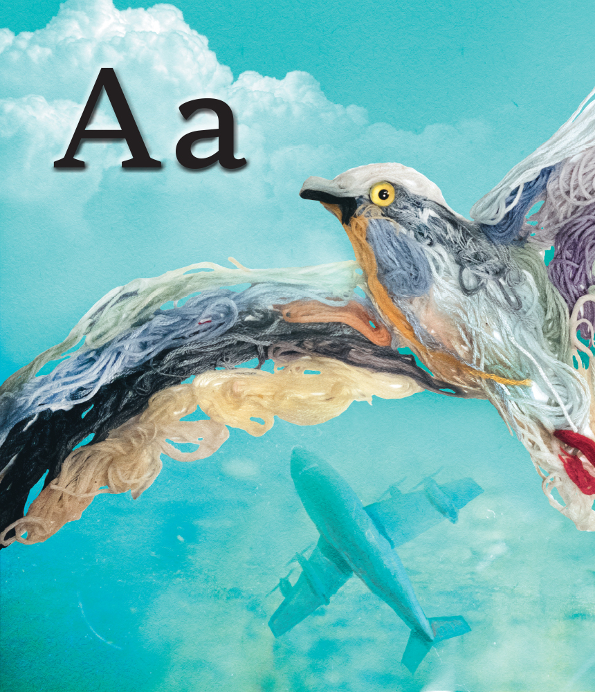 Outlet Книга "Несерийный. Панарина И. ПтицаАбетка. Украинские пернатые" (у) (7740)/844124 4