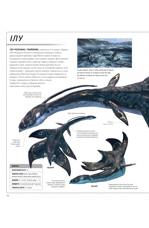 Outlet40 Книга "Аватар: Путь воды. Иллюстрированный словарь. Дж. Кэмерон" (у) (2088) 3