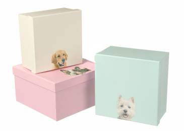 Подарунк. коробка вел., W6676