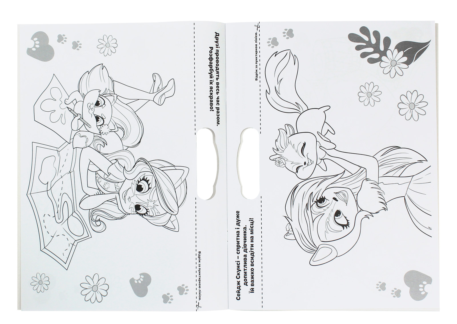 Outlet40 Раскраска гигантская "Enchantimals"(у) (6221)/1025142 3