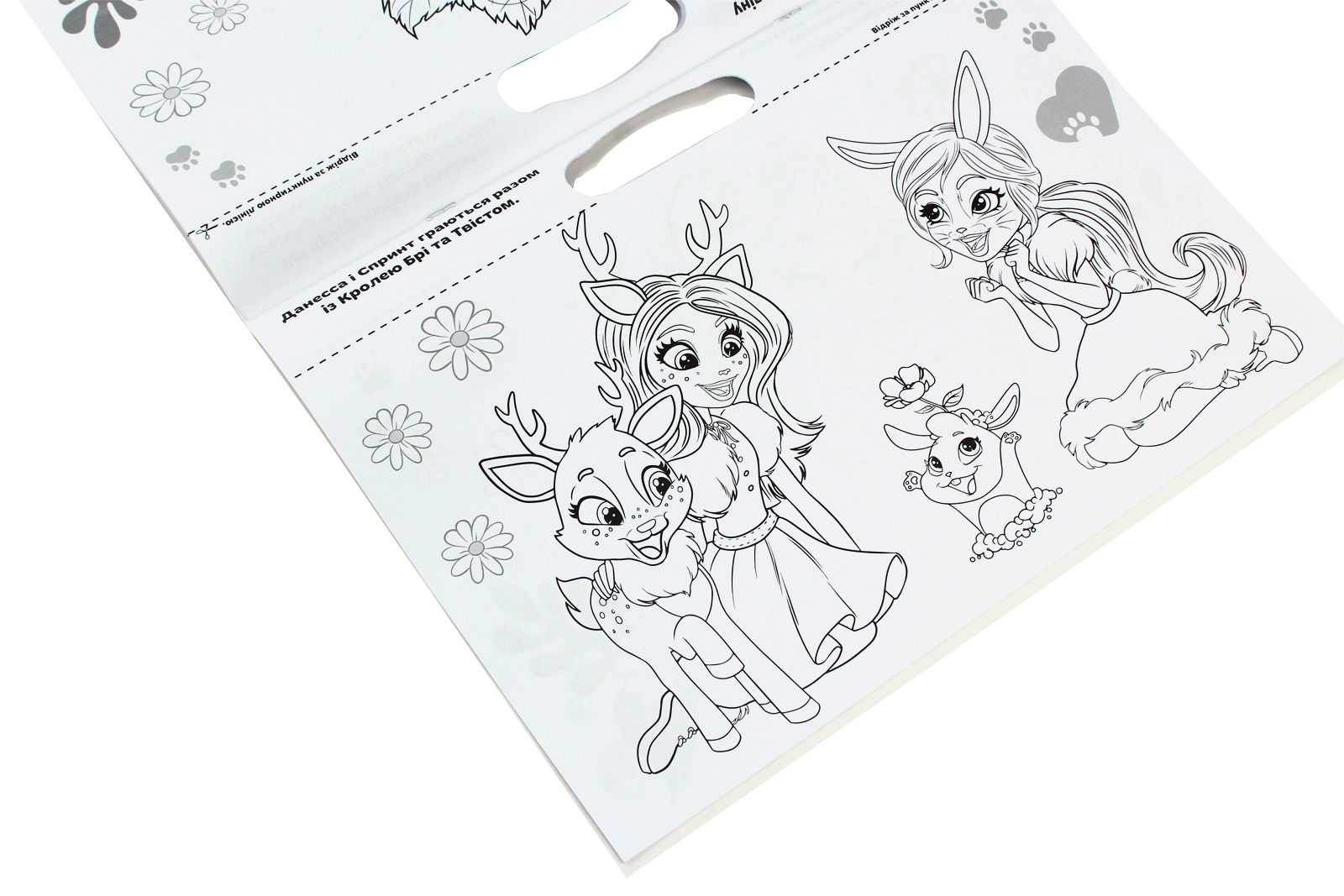 Outlet40 Раскраска гигантская "Enchantimals"(у) (6221)/1025142 5