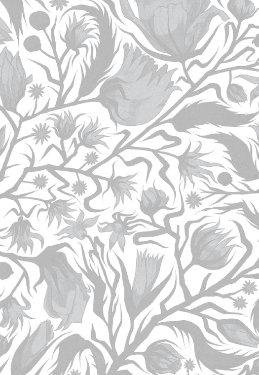 Книга "Виггин К., Вебстер Дж. Речная роза. Дядюшка-долгоног, Любимый враже" (у) (5353) 6