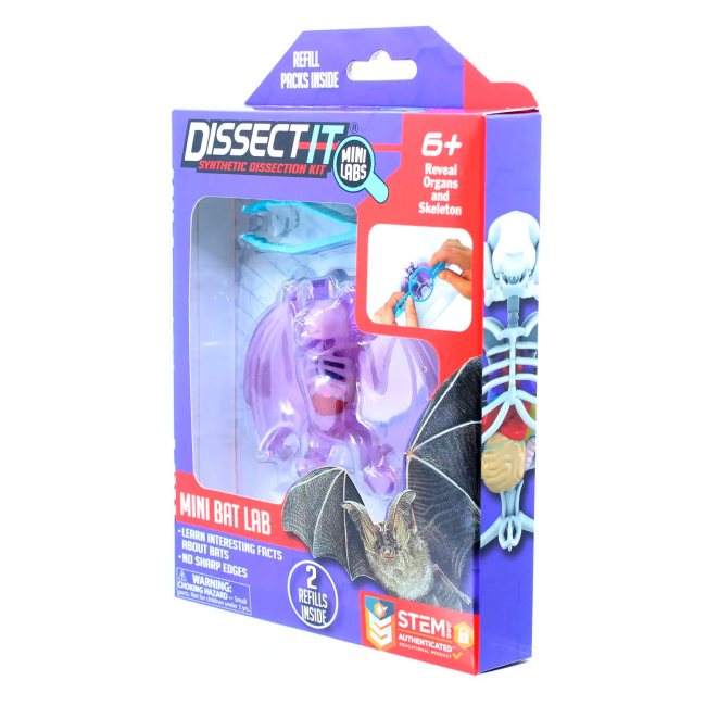 Outlet40 Розвиваючий набір Slimy Lab "Анатомія тварин - Кажан", 38077/1013136 1