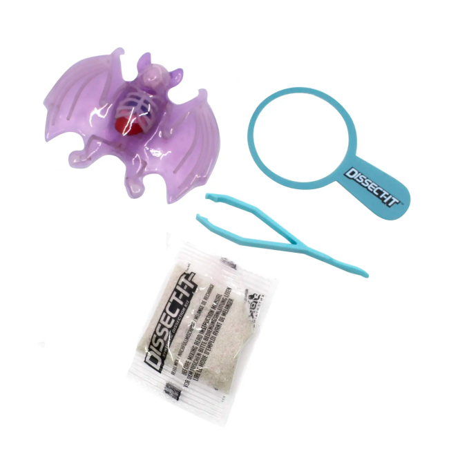 Outlet40 Розвиваючий набір Slimy Lab "Анатомія тварин - Кажан", 38077/1013136 2