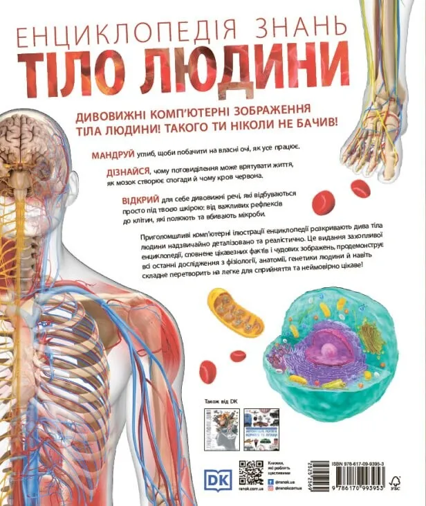 Книга "Энциклопедии DK: Энциклопедия знаний. Тело человека" (у) (3956) 1
